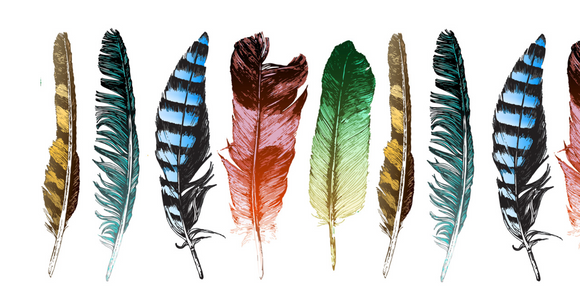 Miscellaneous - Feather