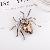 Spider brooches