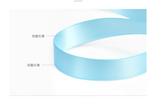 100% polyester double side ribbon-8800