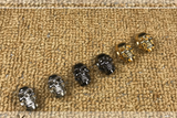 New - Skull toggle