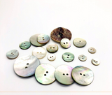 Natural Akoya Shell buttons
