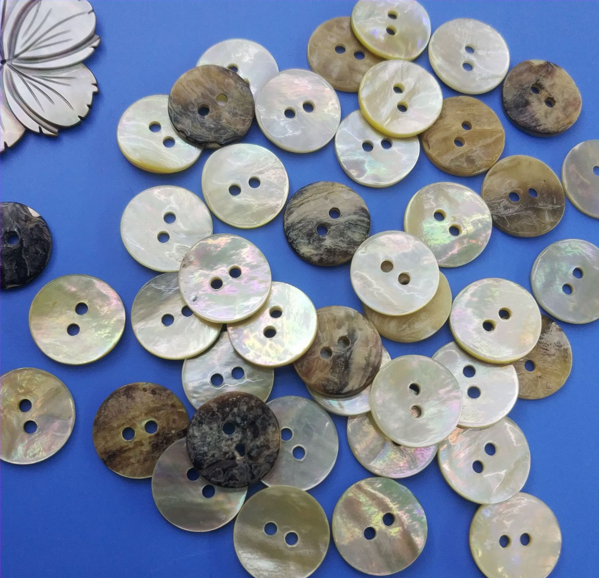 Savida Shell Button Natural Akoya Shell buttons – www.jimmybuttons.com.au