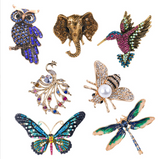 New - Diamante broches