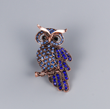 New - Diamante broches