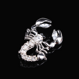 Scorpions brooches with dimanate