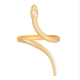 {2025 NEW} Snake bracelet and ring set