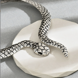 {2025 NEW}Snake necklace