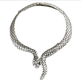{2025 NEW}Snake necklace