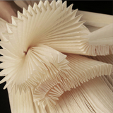 {2026 NEW}Accordion Pleated Stiff Mesh Fabric