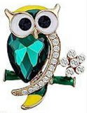 New - Diamante broches