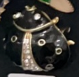 Brooches - bugs