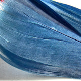 Colorful Feather