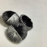 Passementerie Buttons -25mm