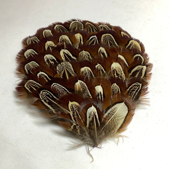 Chevron Hackles: Pheasant Shoulder Patches