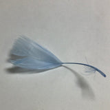 Colorful Feather