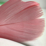 Colorful Feather