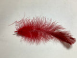 Colorful Feather