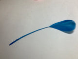 Colorful Feather