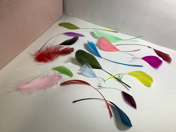 Colorful Feather