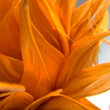 Feather flower