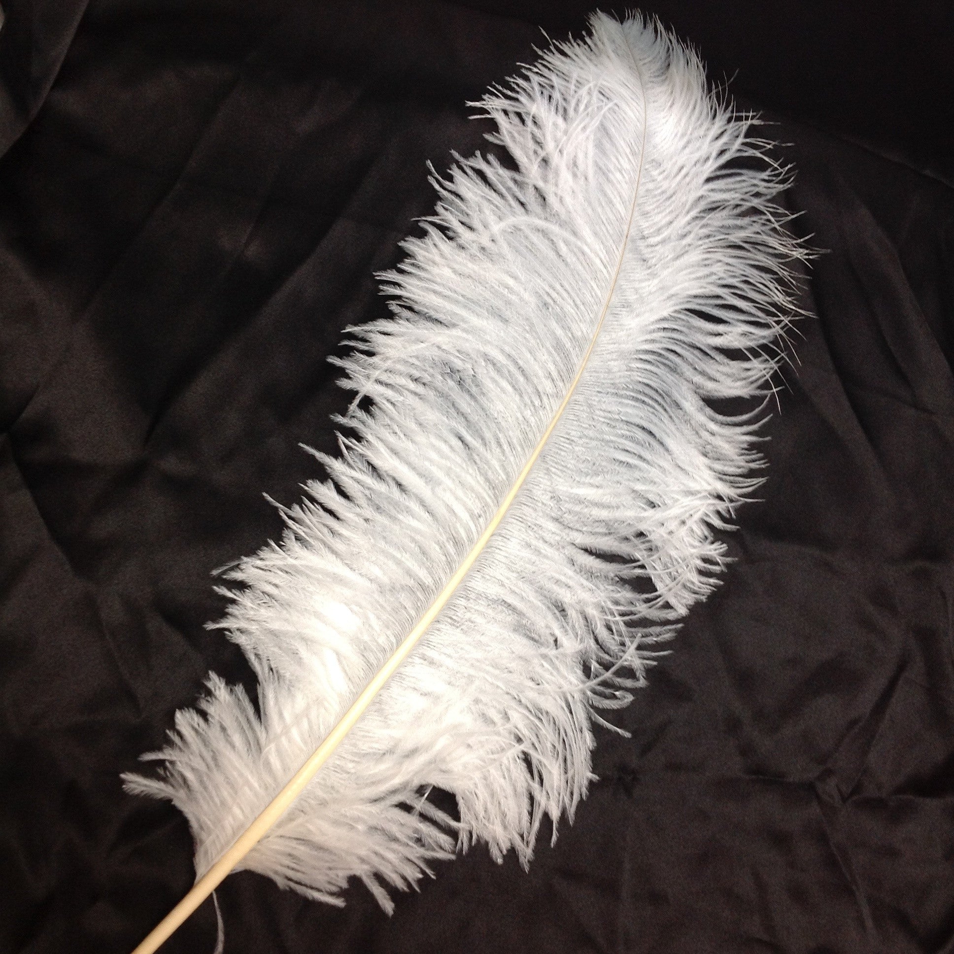 Ostrich Feathers – www.jimmybuttons.com.au