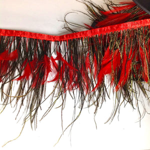 YF201293 PEACOCK FEATHERS
