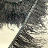 Ostrich Feather Tape