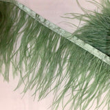 Ostrich Feather Tape