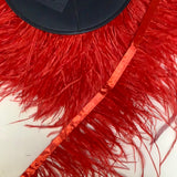 Ostrich Feather Tape