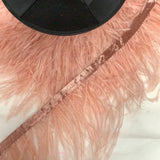 Ostrich Feather Tape