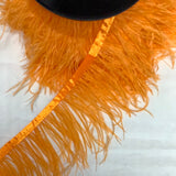 Ostrich Feather Tape