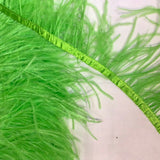 Ostrich Feather Tape