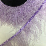 Ostrich Feather Tape