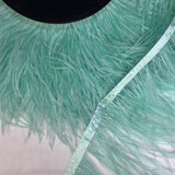 Ostrich Feather Tape