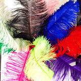 Ostrich Feathers