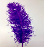 Ostrich Feathers