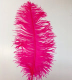 Ostrich Feathers